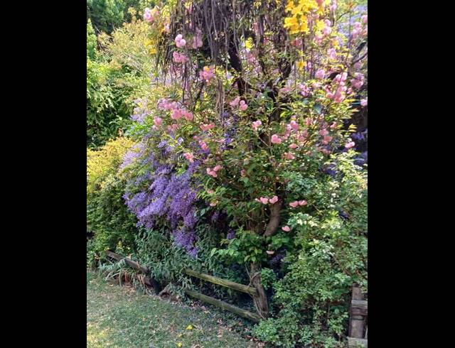 7 bed property to rent in BLAIRGOWRIE